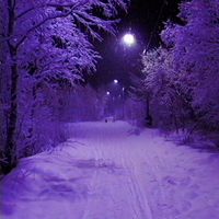 nleave - winter time