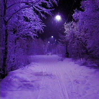 nleave - winter time