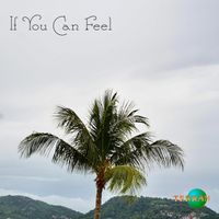 Terran - If You Can Feel