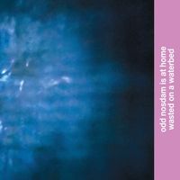 Odd Nosdam - Odd Nosdam is at HOME wasted on a waterbed EP