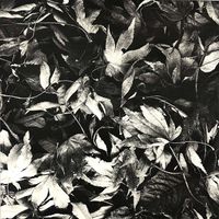 Bark Psychosis - All Different Things