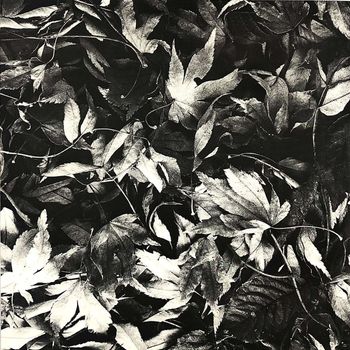 Bark Psychosis - All Different Things