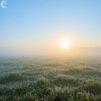 Dewdrop Dreams - Morning Calm