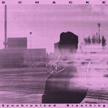 Schacke - Mutual Secrecy