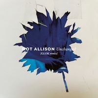Dot Allison featuring Andy Bell - Unchanged (GLOK Remix)