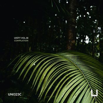 Various Artists - Unity Vol.38 Compilation