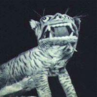 dubspeeka - Paper Tiger