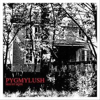 Pygmy Lush - Mount Hope