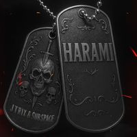 J Trix & Subspace - Harami