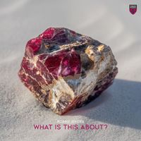 Robbie Rivera - What Is This About?