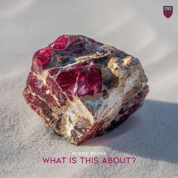 Robbie Rivera - What Is This About?