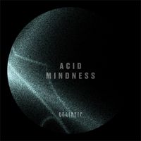 ecliptic - ACID MINDNESS