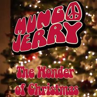 Mungo Jerry - The Wonder of Christmas