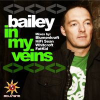 Bailey - In My Veins