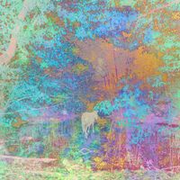 Blue Foundation - Selected Work 1999-2002 (b-sides) (remastered)