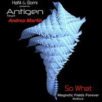Antigen - So What (Magnetic Fields Forever Rework)