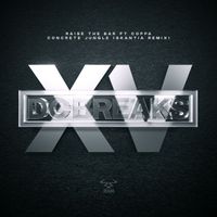 DC Breaks - Raise the Bar / Concrete Jungle (Skantia Remix)