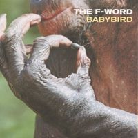 Babybird - The F-Word