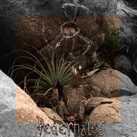Metanoia - Pedernales