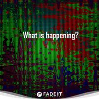 Vivam - What Is Happening