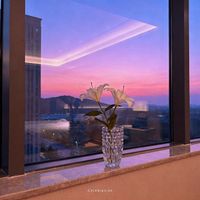 VIKI - Celebration