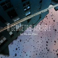 Daniel Diaz - à géométrie variable