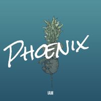 IAM - Phœnix 