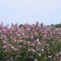 Jone - You Know the Feeling