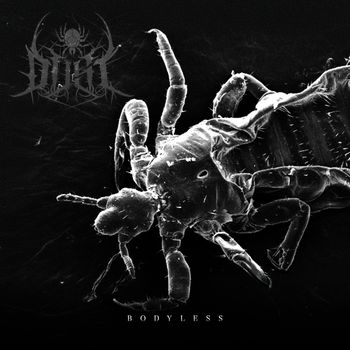 Dust - Bodyless (Explicit)
