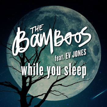 The Bamboos - While You Sleep