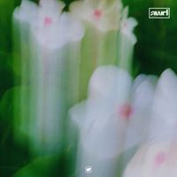 Valentino - Late Night