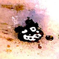 Observer - Wookin (Explicit)