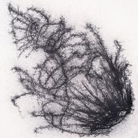 Aire - The Exposition