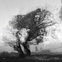 Swansither - Ronsack