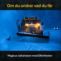 Magnus Johansson - Om du undrar vad du får