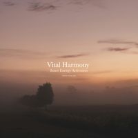 CROIX HEALING - Vital Harmony – Inner Energy Activation