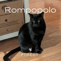 Forest - Rompopolo