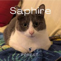 Forest - Sapphire