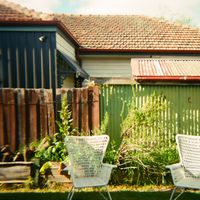 Echo Park - Tarantula