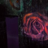 Real Terms - Some Ruins