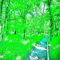 amon - Vet (Explicit)