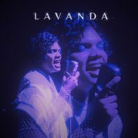 Dann - Lavanda
