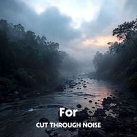 Cut Through Noise - For