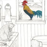 Nobody - Women (Explicit)