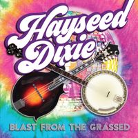 Hayseed Dixie - Eternal Flame