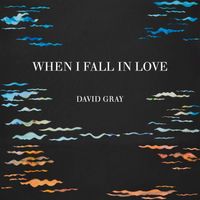 David Gray - When I Fall in Love
