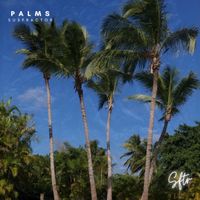 Susfractor - PALMS