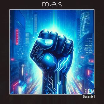 F.E.M - Dynamix I (Explicit)