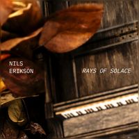 Nils Erikson - Rays of Solace