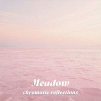 chromatic reflections - Meadow